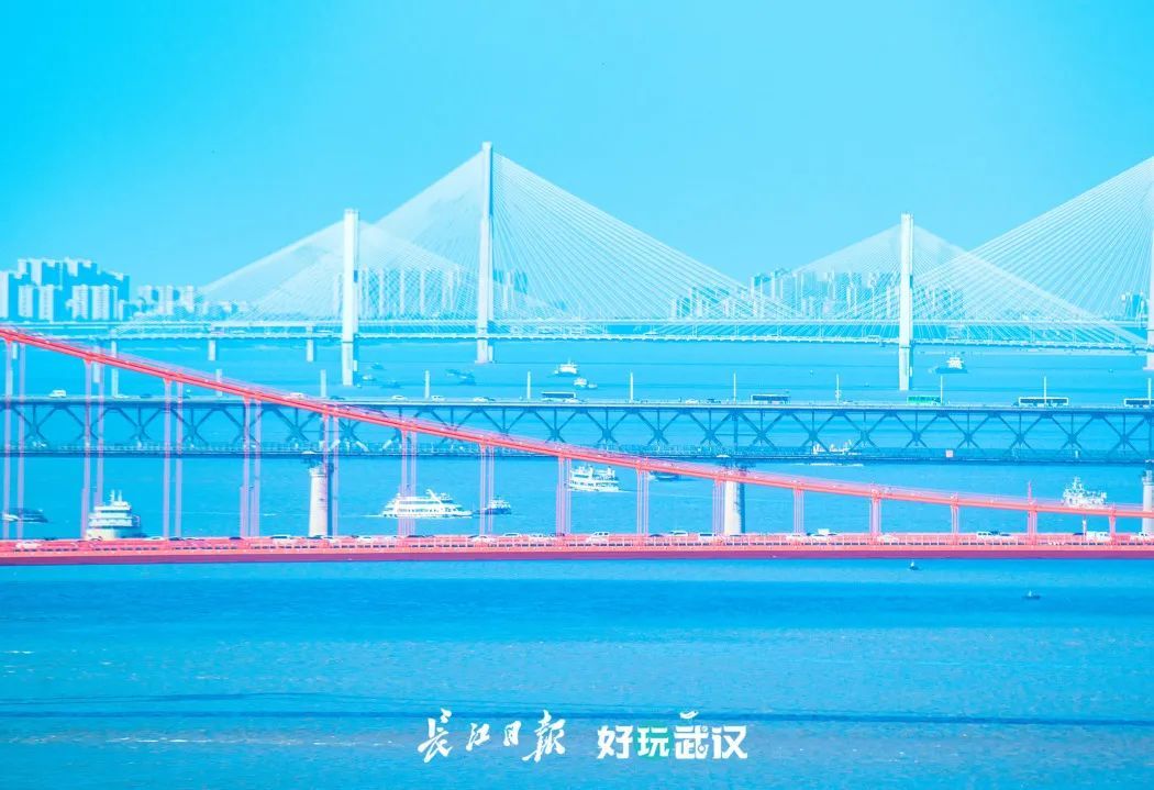 ② 武汉阳逻长江大桥