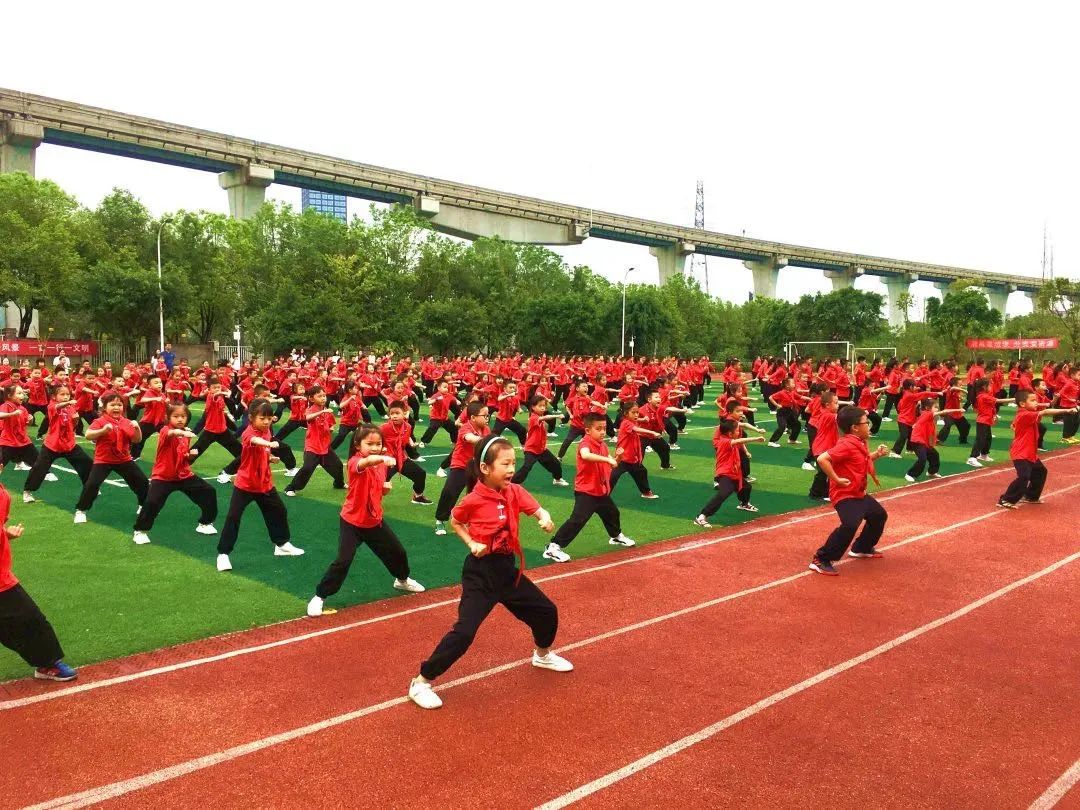 八中女子排球隊南華中學武術隊揭秘渝北各校體育業餘訓練隊