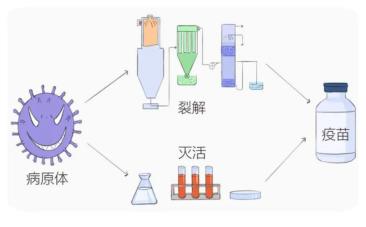 灭活疫苗是最为传统的疫苗制备方法