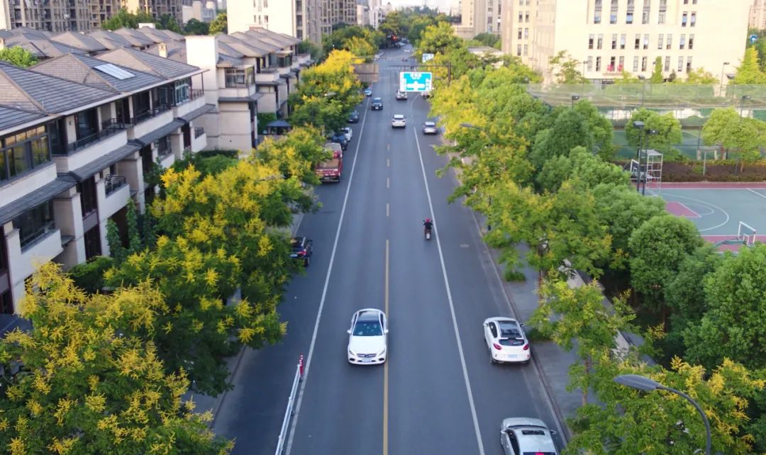 横凉亭路,樟岩路临安区:临天路北延,玲珑山路南延,福兴街西延,金源路