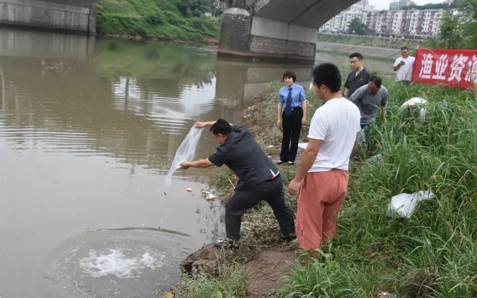 高县法院集中开展增殖放流生态修复行动澎湃号·政务澎湃新闻 The Paper 6414