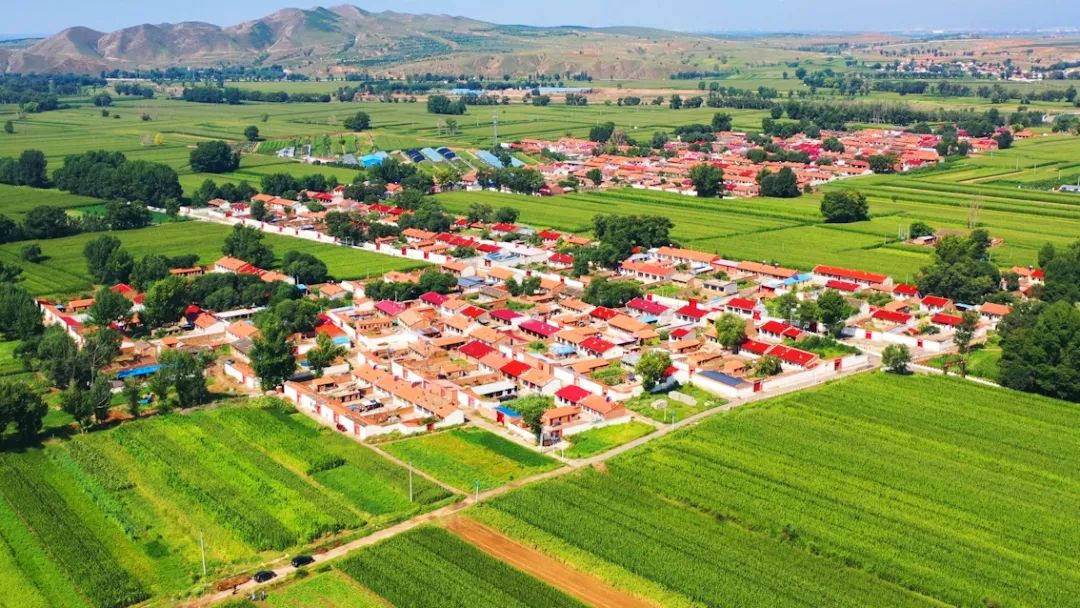 走进乡村看小康 | "宝藏精神"在"河南"