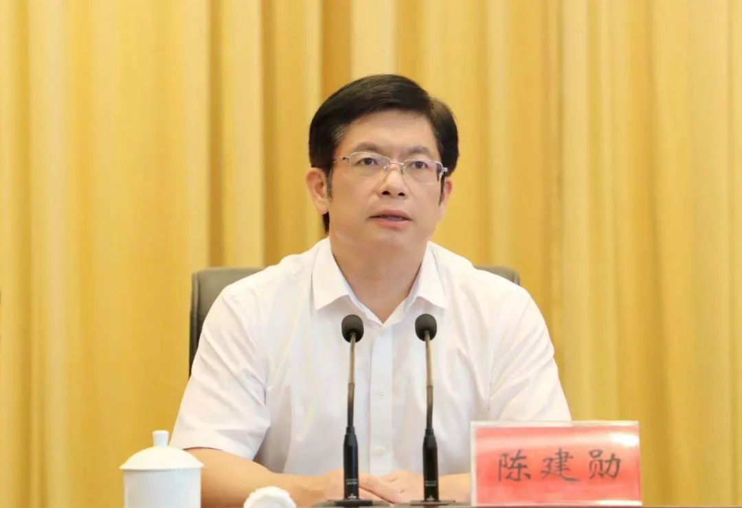 全区"大巡防,大排查,大调处,大整治"行动动员部署会 | 陈建勋:拿出