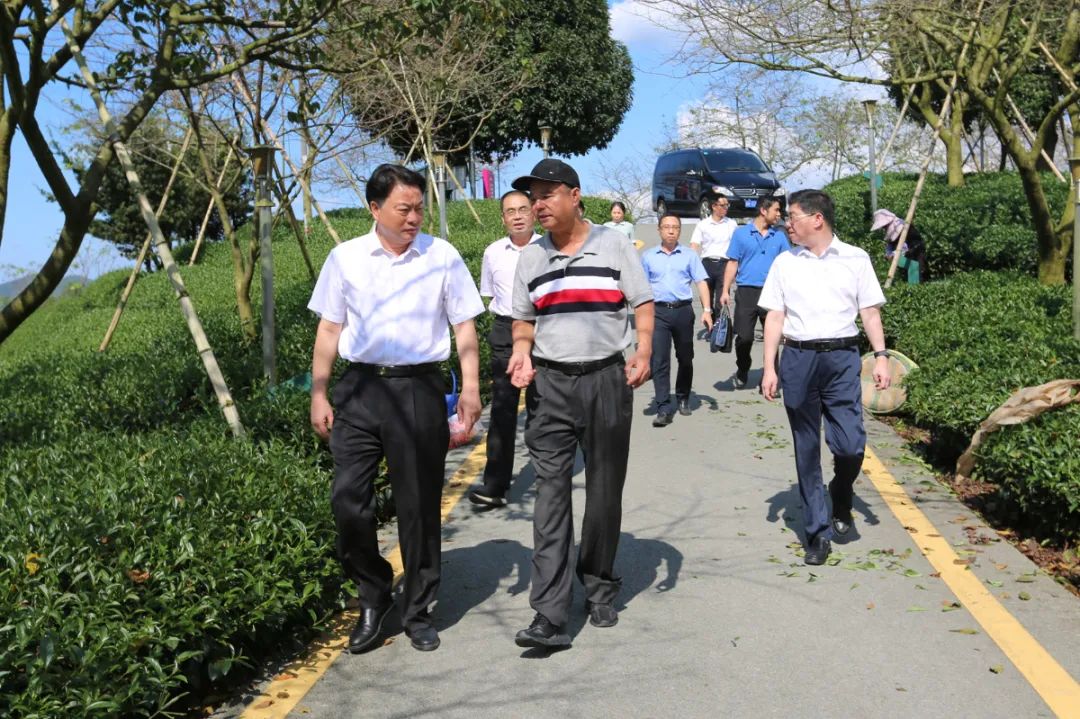 苏建平介绍图片