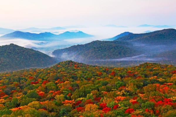 哈尔滨金龙山国家森林公园