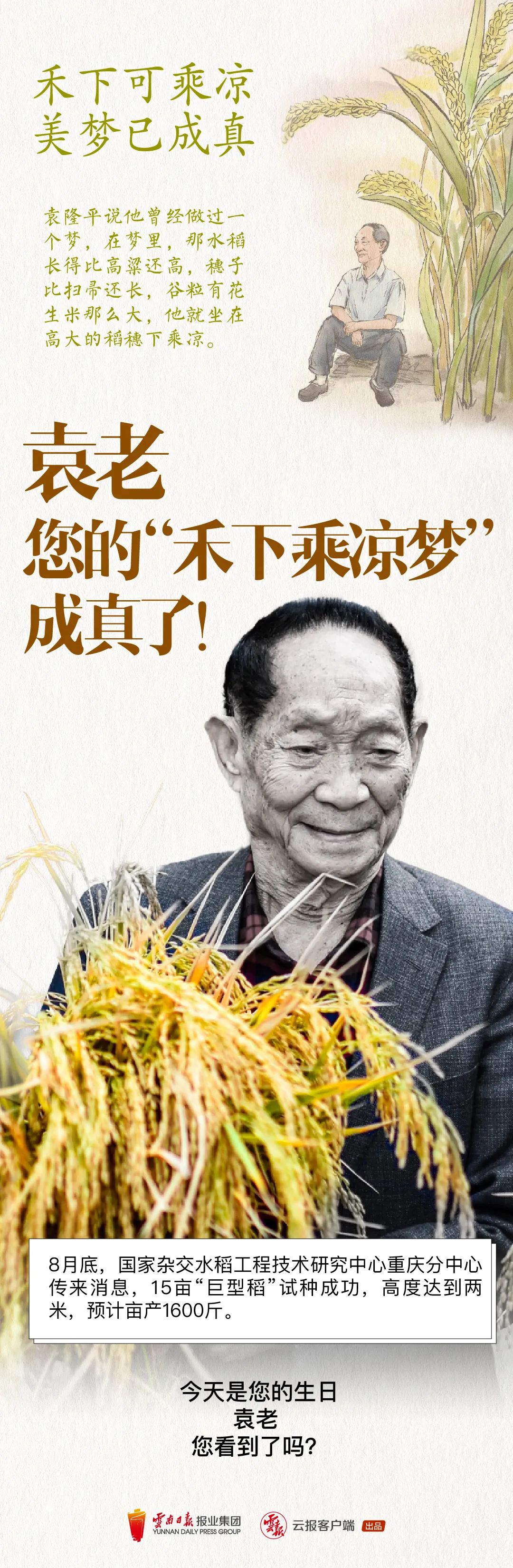 缅怀袁老禾下乘凉已不是梦您看到了吗