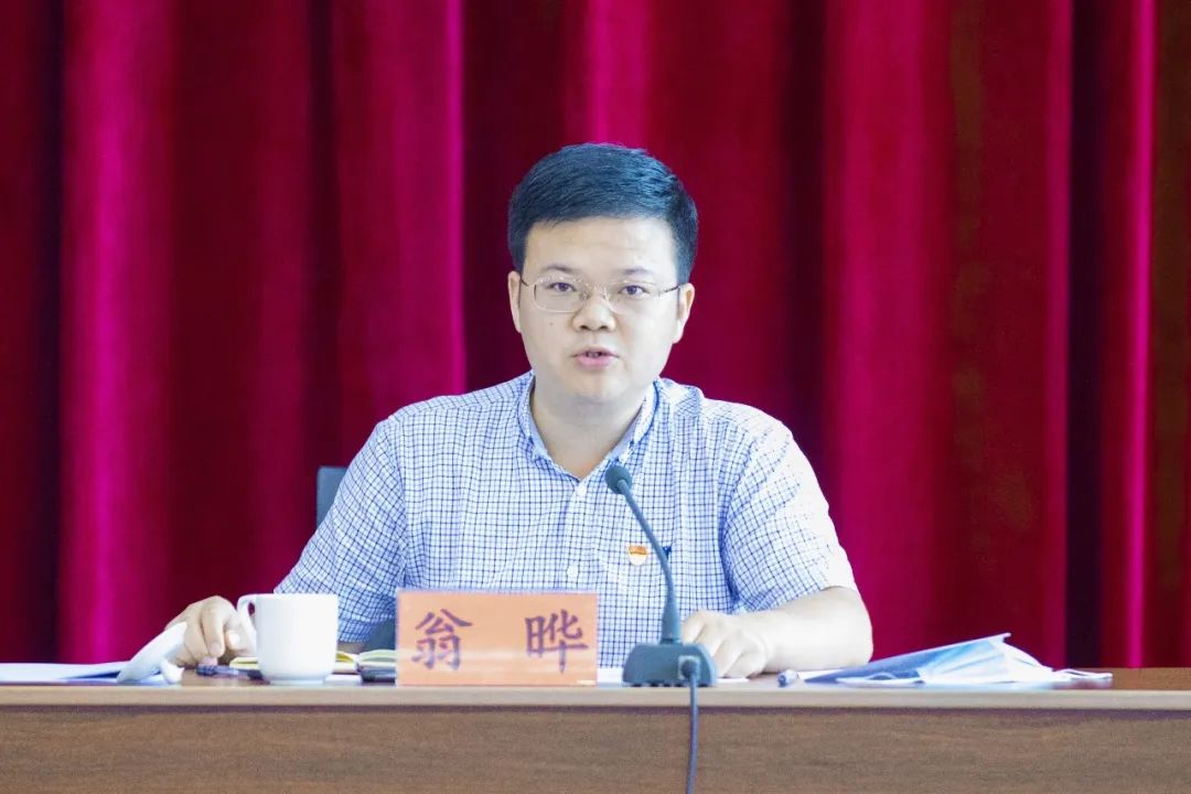 镇党委副书记翁晔主持会议.