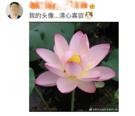 网友热议微信头像还有这功能