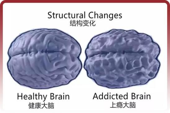未成年人暑假只能周五六日打游戏_cf手游好友点赞怎么无限点赞_国家游戏防沉迷规定