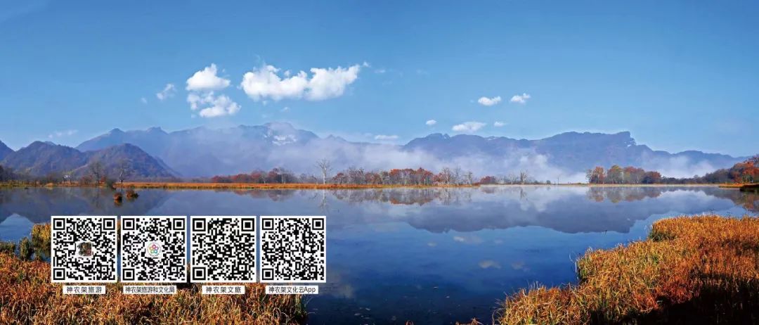 架林区文化和旅游局神农架旅游资讯网神农架文旅云官方app：神农架文旅云