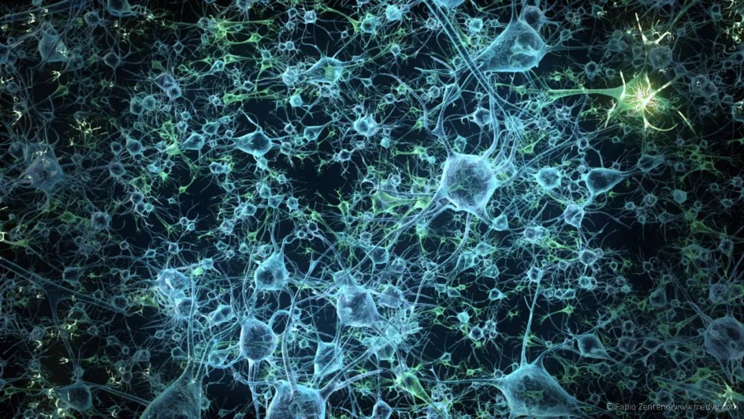 构成你的分子能否代表你的存在