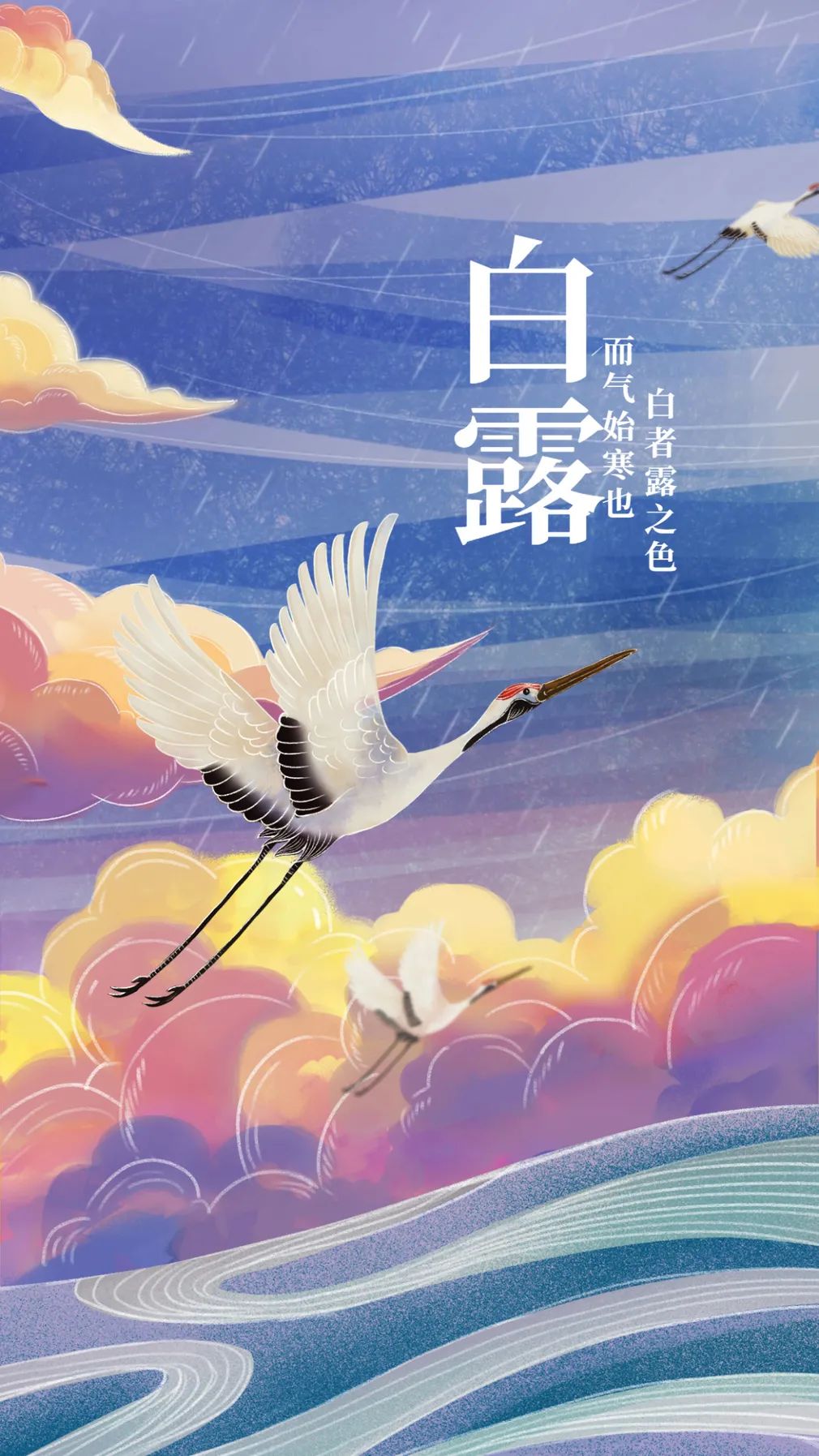 今日白露白鹭随风起满目风与月