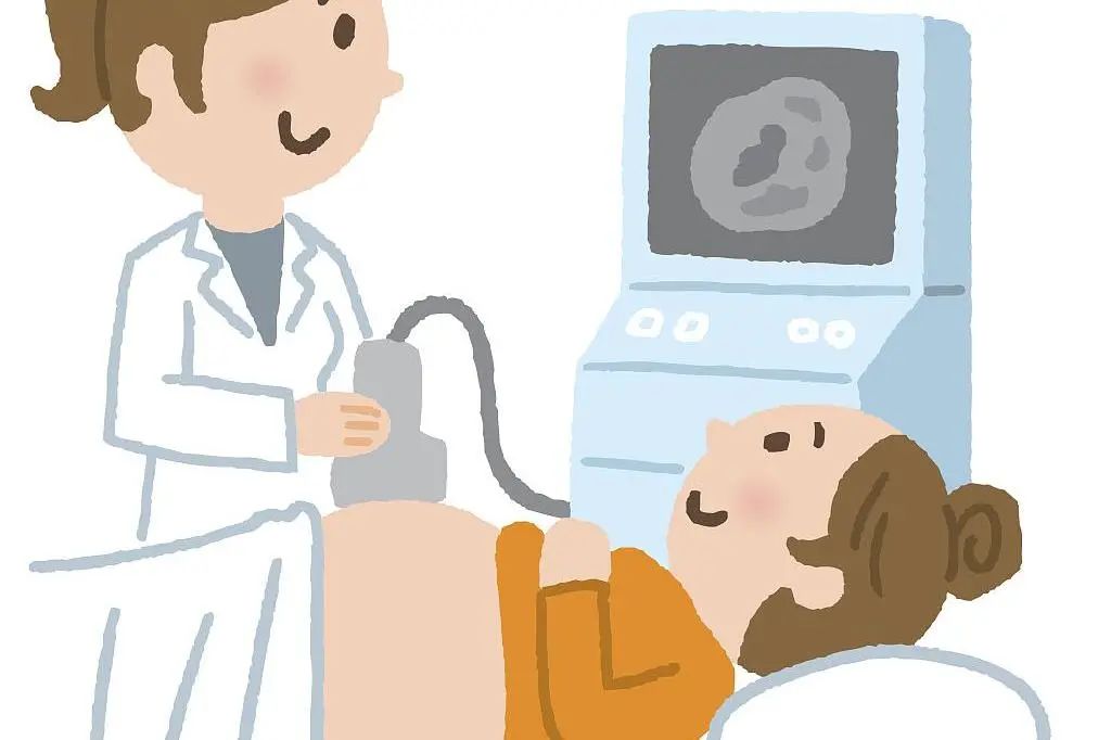 超声心动图心影神探就是心脏超声检查获得精准治疗的帮助下找到各式各