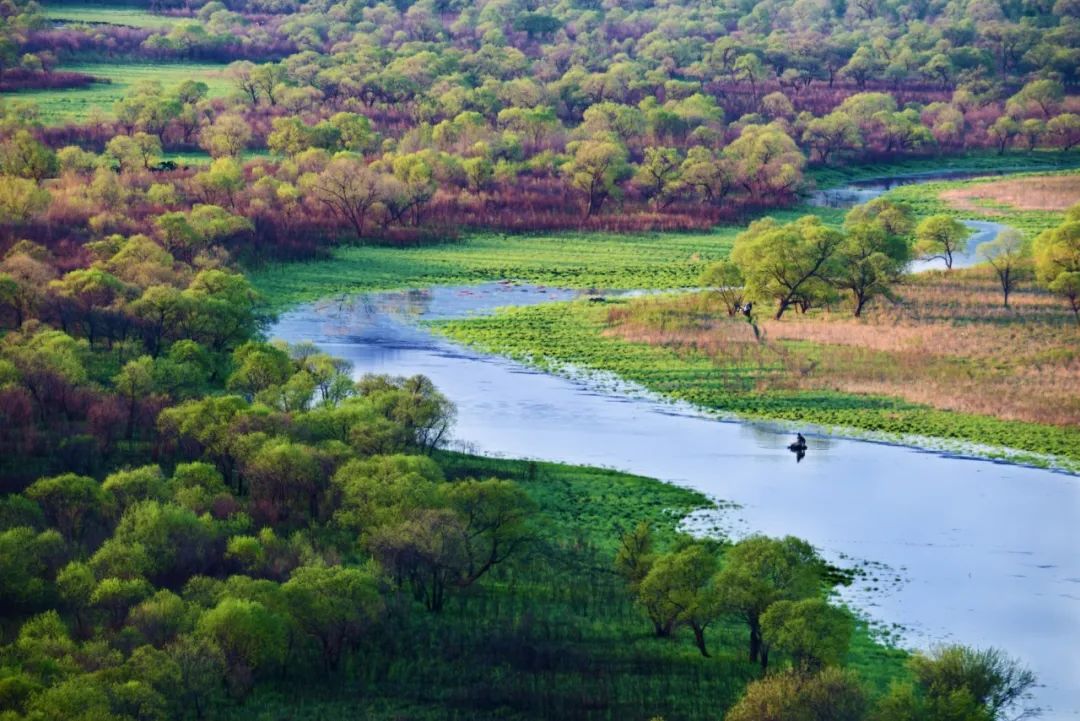 魅力山水城多彩双鸭山绿色双鸭山大美湿地美如画