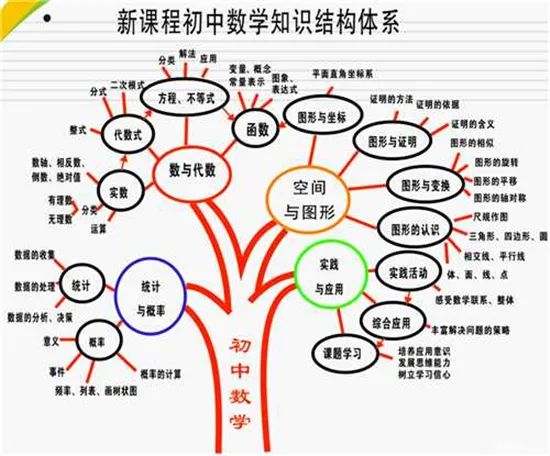 知识体系树状图图片