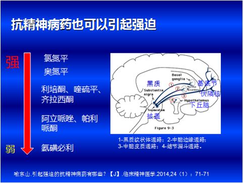 什么是强迫症（什么是强迫症的表现）-85模板网