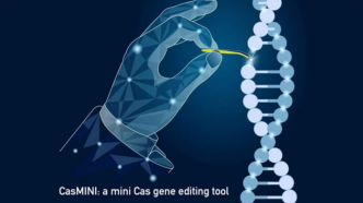从CRISPR到CasMINI，基因编辑系统不断前进