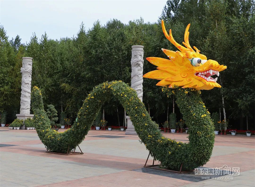 菊花展造型设计图片