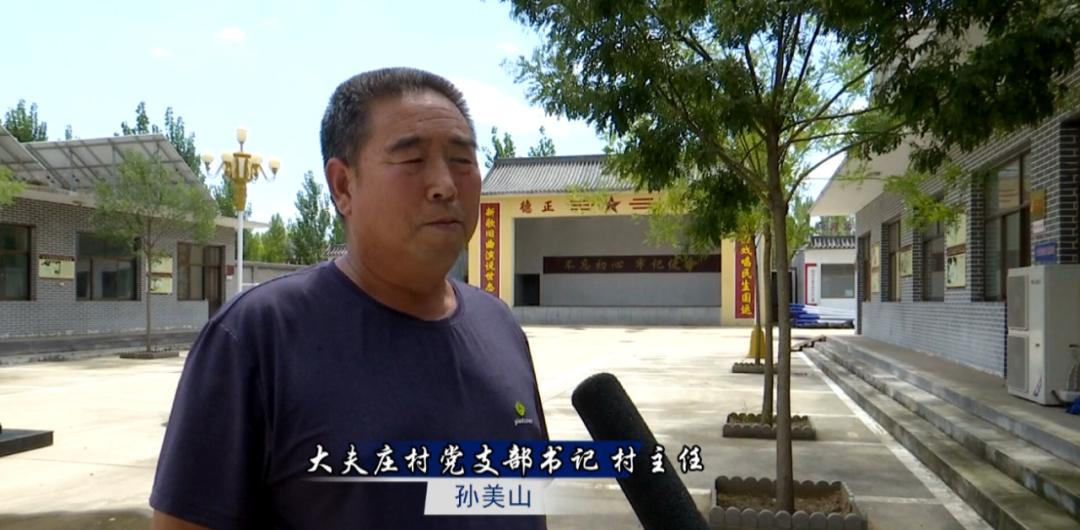 学党史办实事农村人居环境整治提升在行动岔头镇小篱笆提升乡村大颜值