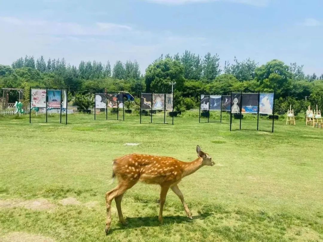 冰皮月餅手衝咖啡萌寵樂園金山網紅景點中秋節活動爆滿