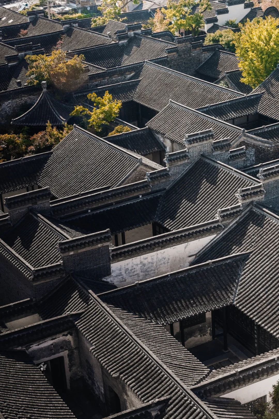 扬州你为什么不着急