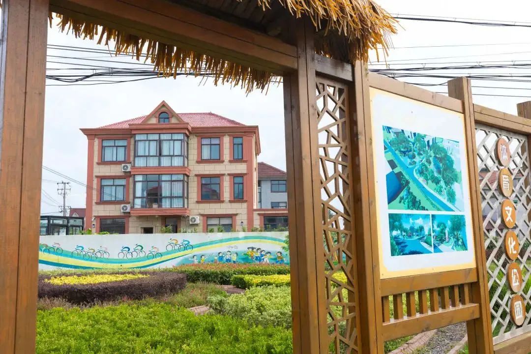 惠南镇海沈村 / 近年来乡村振兴建设发展成果