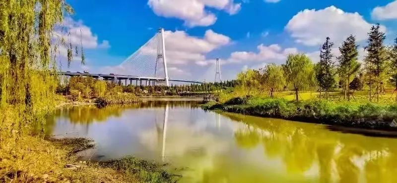 新时代司法所徐汇区司法局华泾司法所四化发展新时代城市版枫桥经验