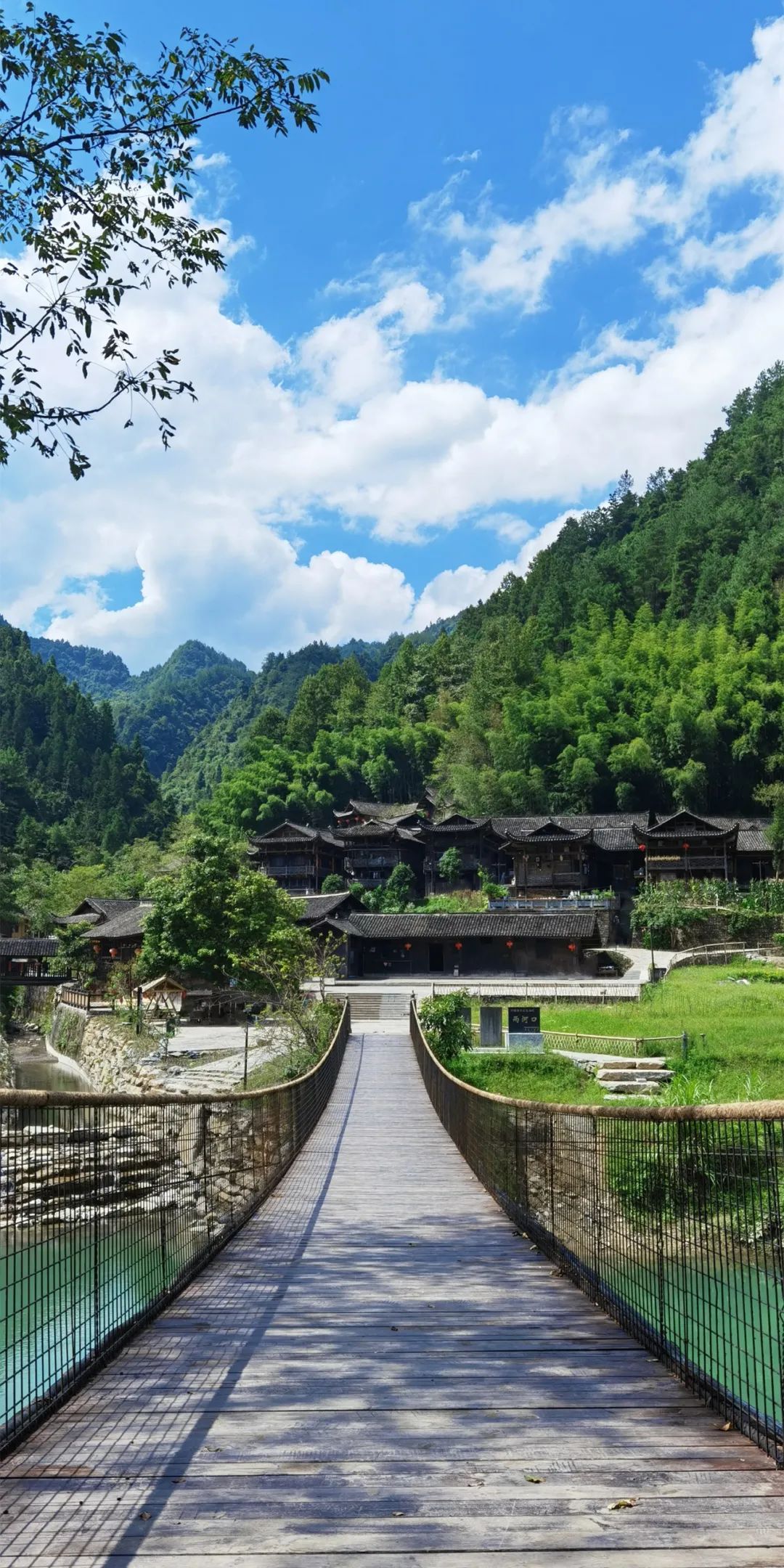 作响连成一块绿色的背景布一簇簇水稻紧密地挨着在宣恩彭家寨又到一