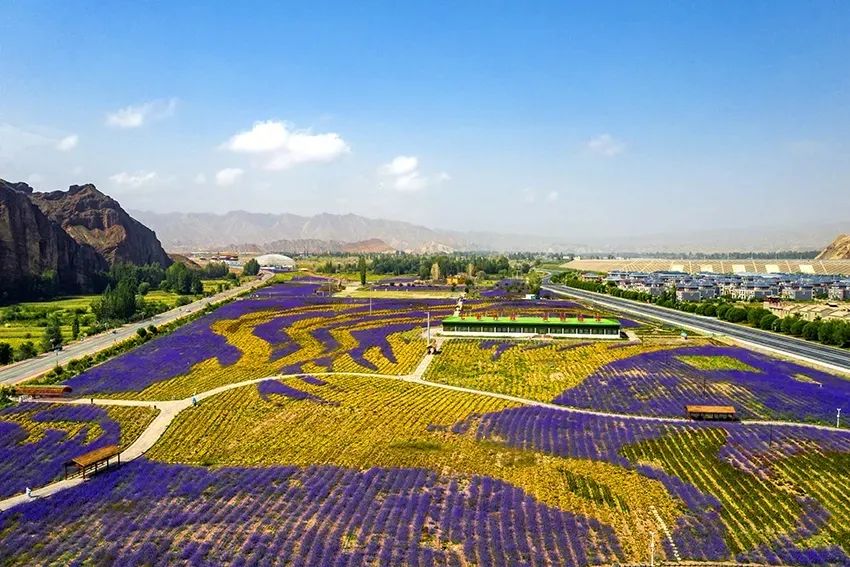 临泽旅游景点大全图片