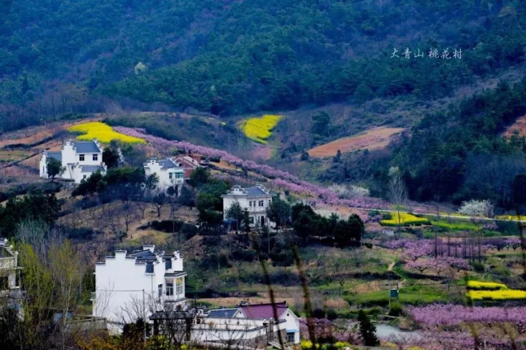 台州马鞍山村图片