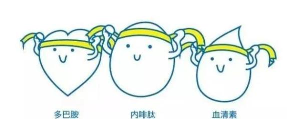 和内啡肽一起,不是那几位带给我们快乐的三兄弟吗?