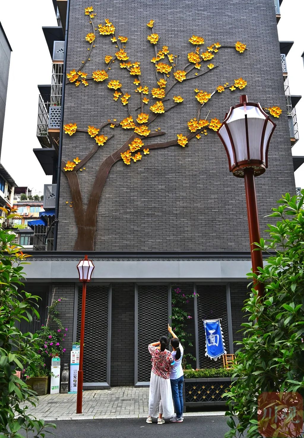 9月的成都名副其实的桂花巷