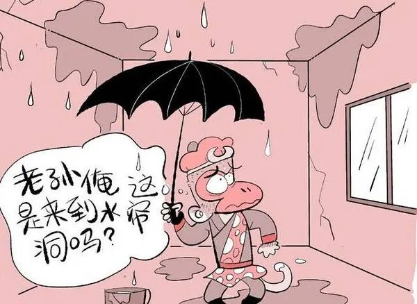 房屋漏水漫画图片