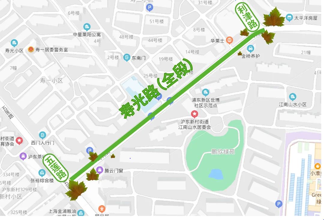 静安区又新增3条林荫道!来看看在你家门口吗