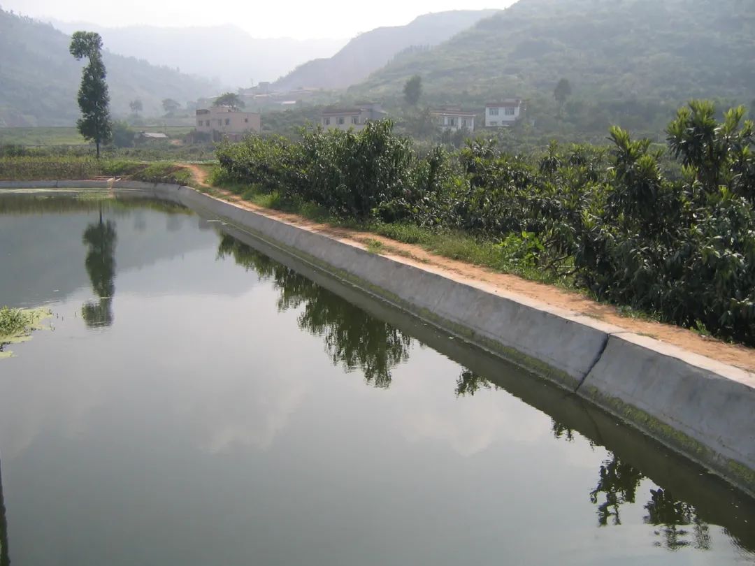 “土塘A计划”（虾苗）：内地淡水养虾：虾苗的来源渠道--宜春强微生物科技有限公司......活力99生酵剂，活力发酵床，99复合通用饲料发酵剂