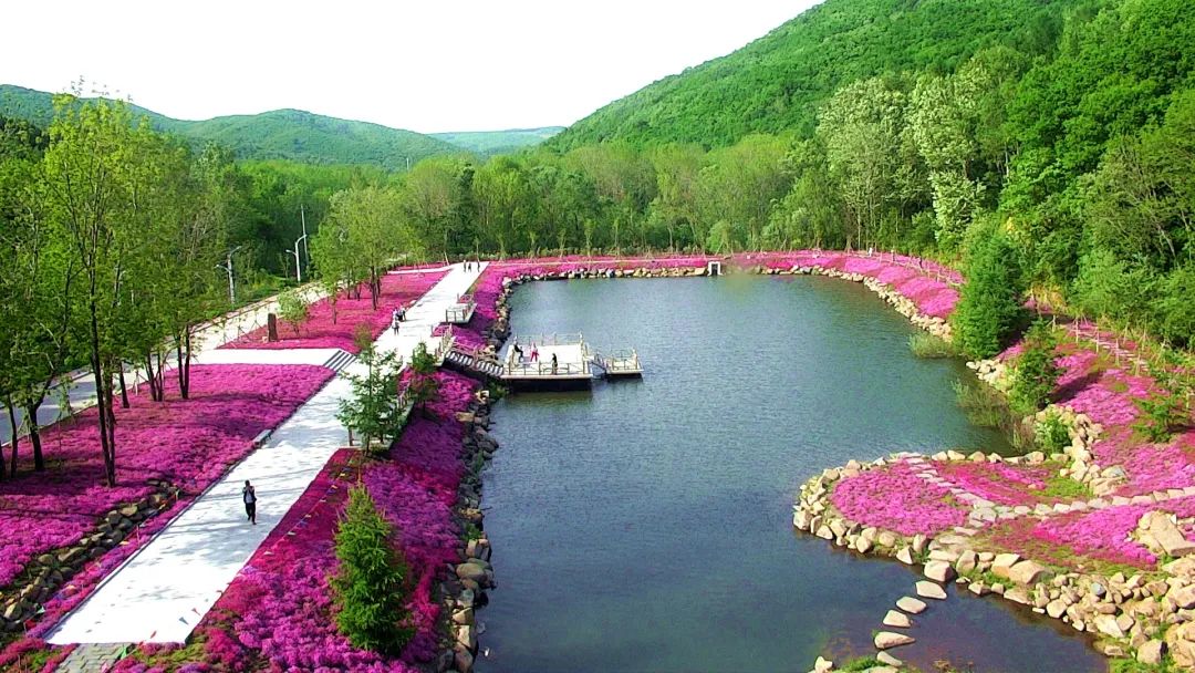 多彩双鸭山如画美景等您来青山国家森林公园