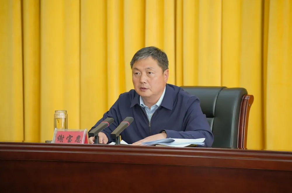 市委副书记谢宝恩讲话