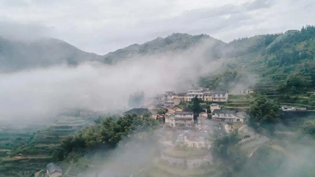 松阳县望松街道吴弄村是中国传统村落,省级历史文化名村,近日,街道纪