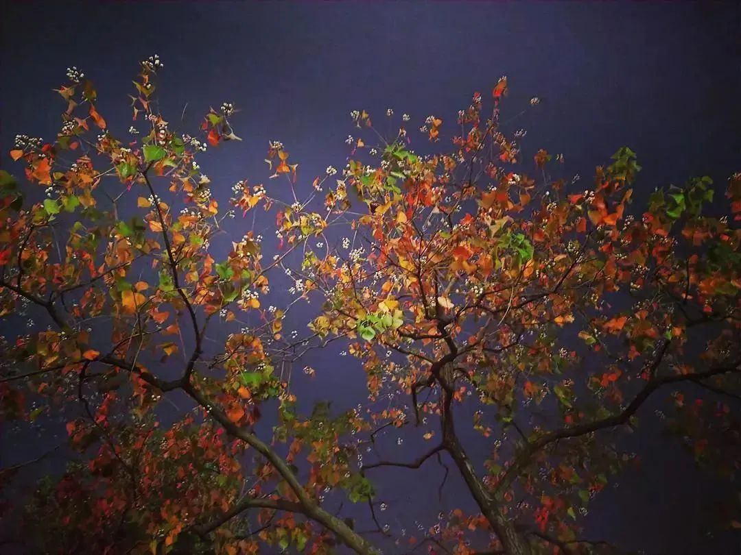 当年背到头秃的古诗瞬间读懂了