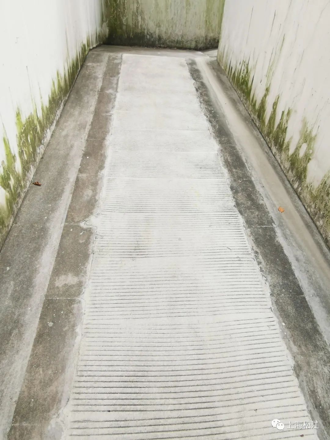 电动自行车乱充电?松江这个小区分三步解决!_澎湃号·政务_澎湃新闻-t