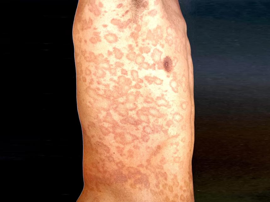 看着身上一片片玫瑰花瓣我把怀疑的目光投向了猫咪