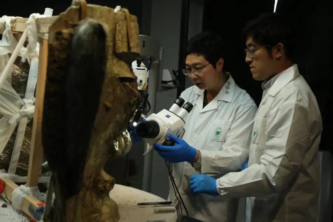 惊艳新发现实拍三星堆考古现场泰康空间结束了未公开的花样年华变成