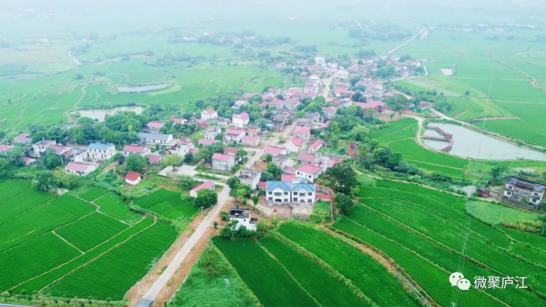 冶父山镇梁岗中心村 李杰 摄美好的一天从清晨开始早安,各位!