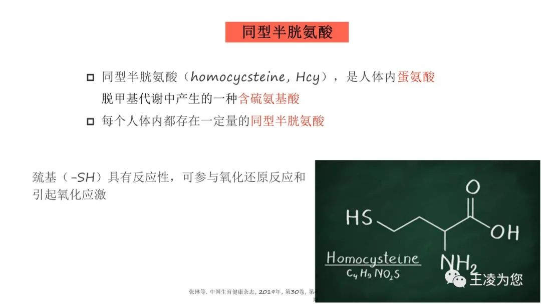 同型半胱氨酸hcy与复发性流产