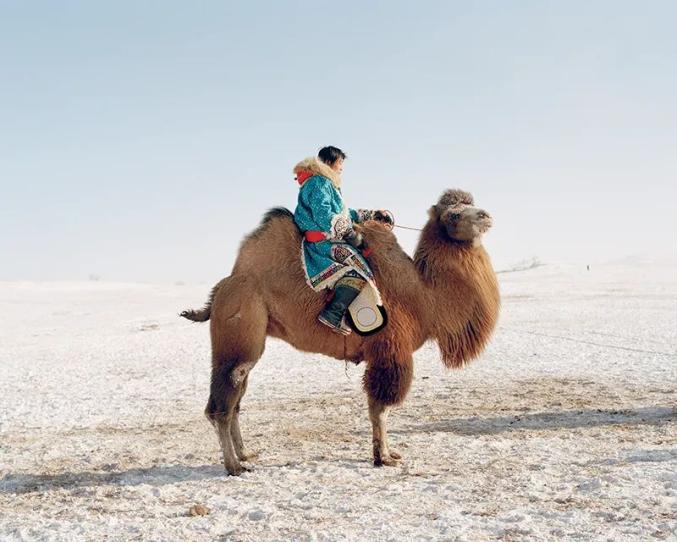 纪实蒙古族人民在大地与游牧之间的拉锯