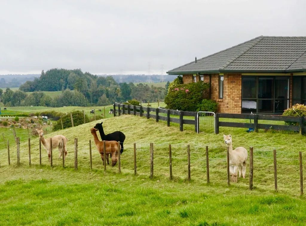 扩散现实版开心农场103家拟获天津示范