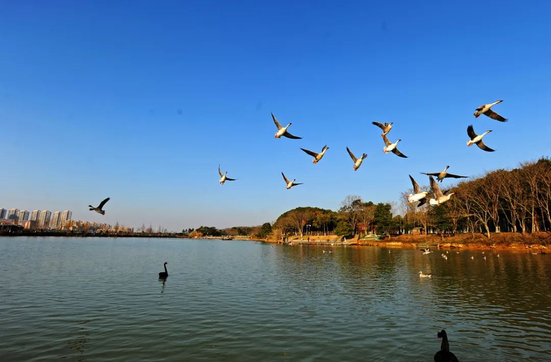 在南昌初秋的潋滟里,等你!