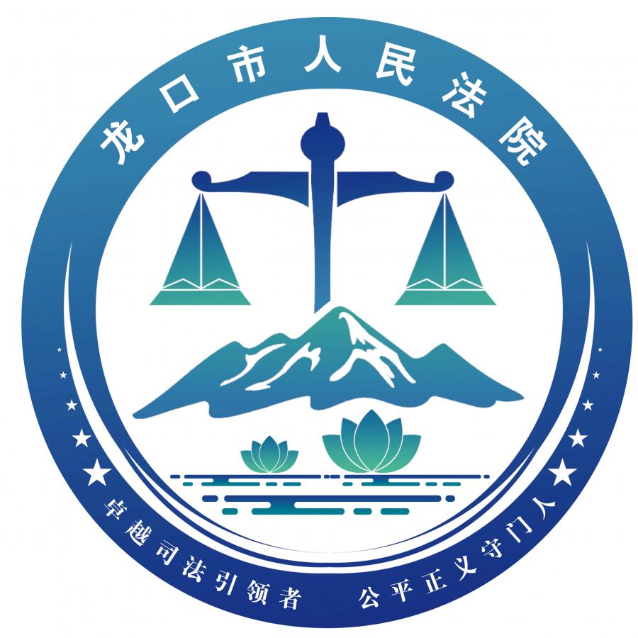 我为群众办实事 | 司法更便民,龙口法院建立驻庭执行团队_政务_澎湃新