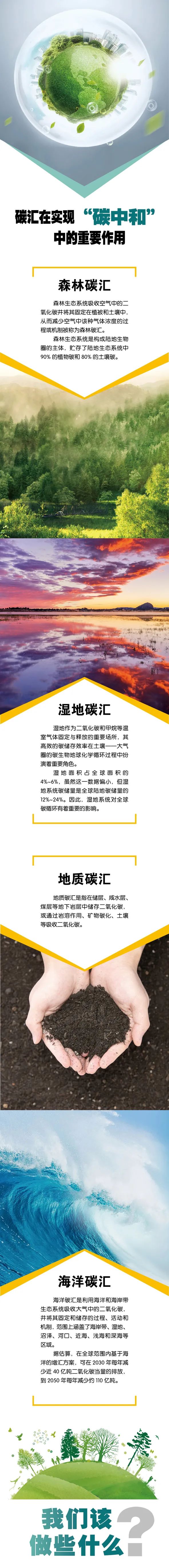 有關碳中和與碳達峰的那些事你瞭解嗎