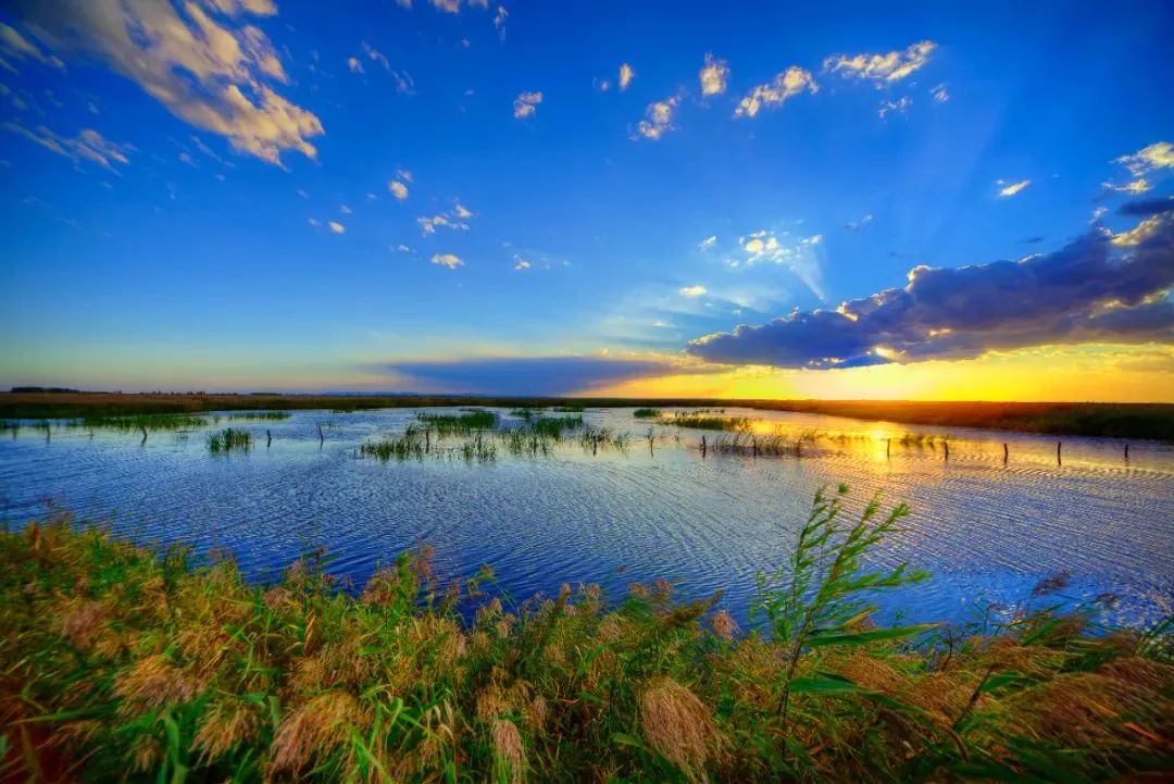 迎旅盟展新貌坐标双鸭山湿地如画